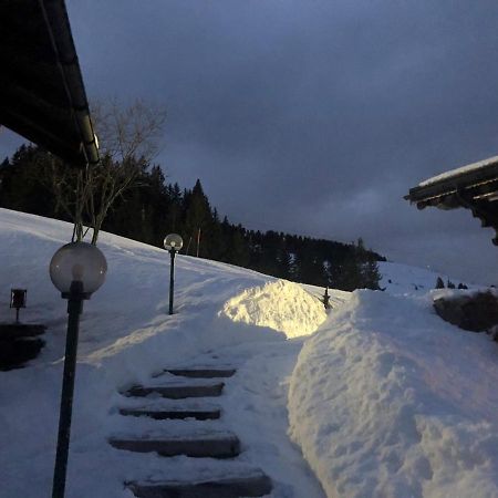 فيلا Chalet A La Montagne تشامبوسين المظهر الخارجي الصورة