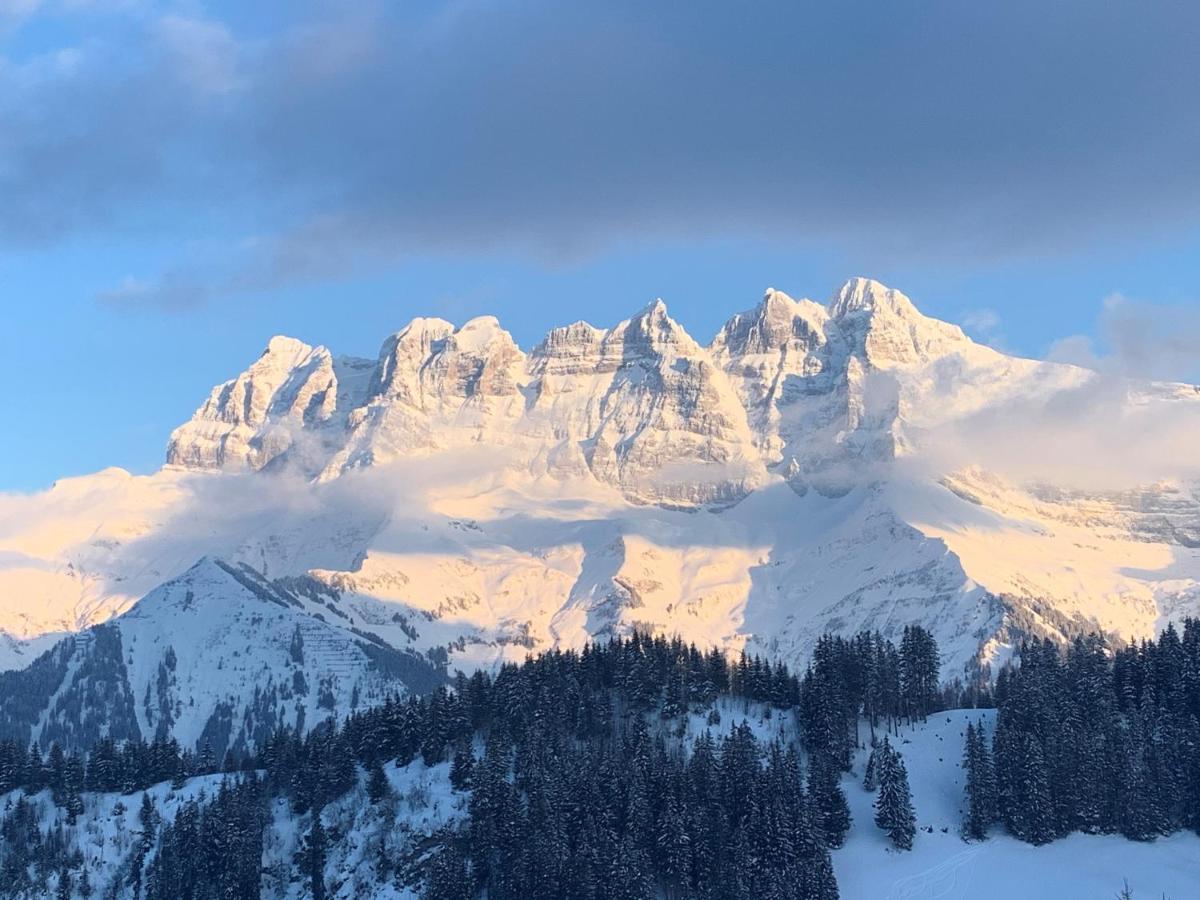 فيلا Chalet A La Montagne تشامبوسين المظهر الخارجي الصورة